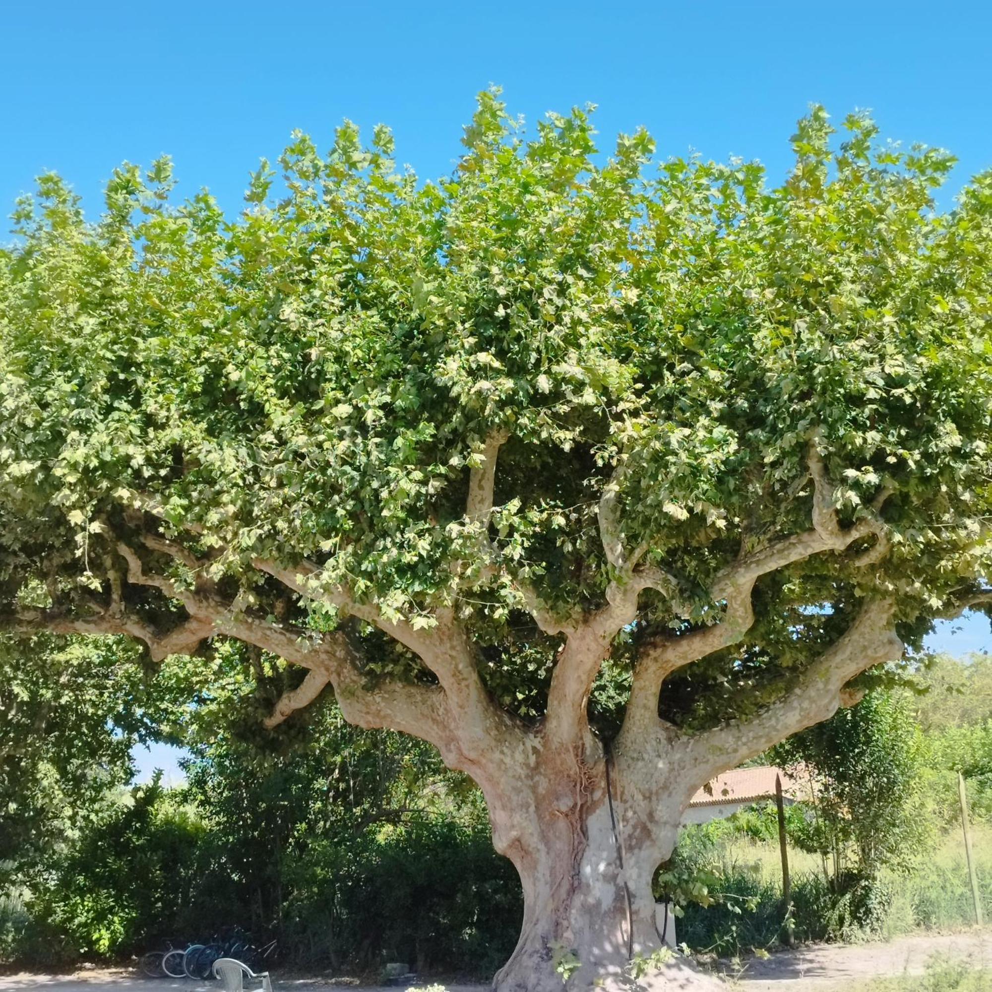 Mas En Provence Villa Le Thor Kültér fotó