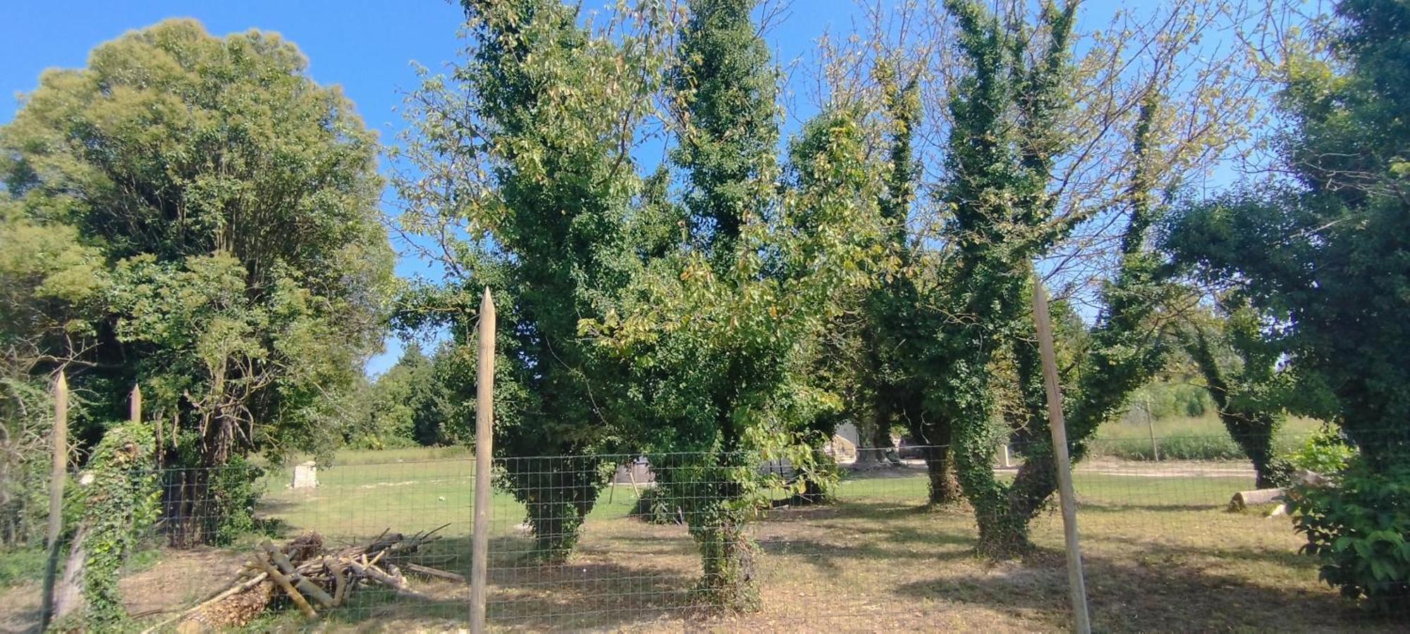 Mas En Provence Villa Le Thor Kültér fotó