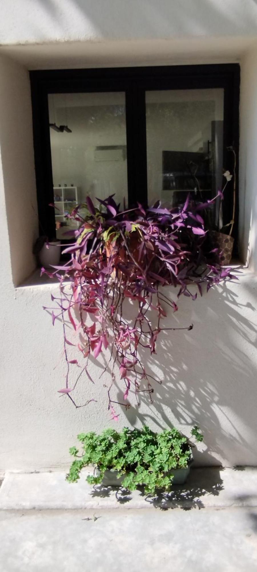 Mas En Provence Villa Le Thor Kültér fotó